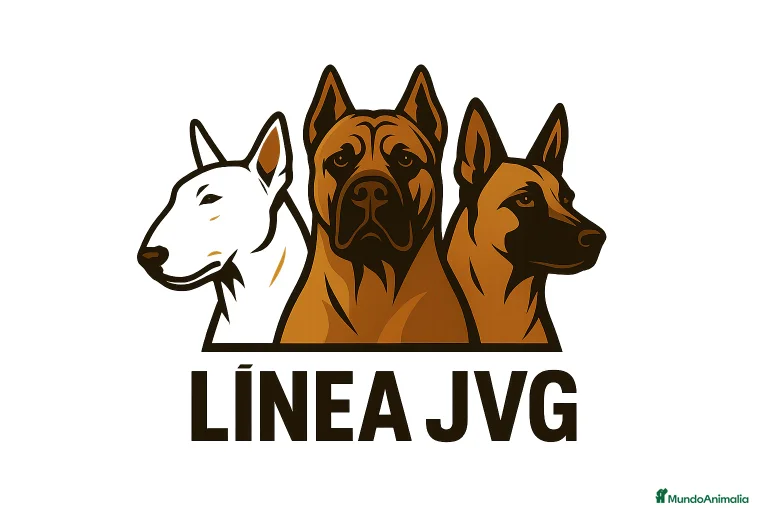 Imagen de galería {{count}}