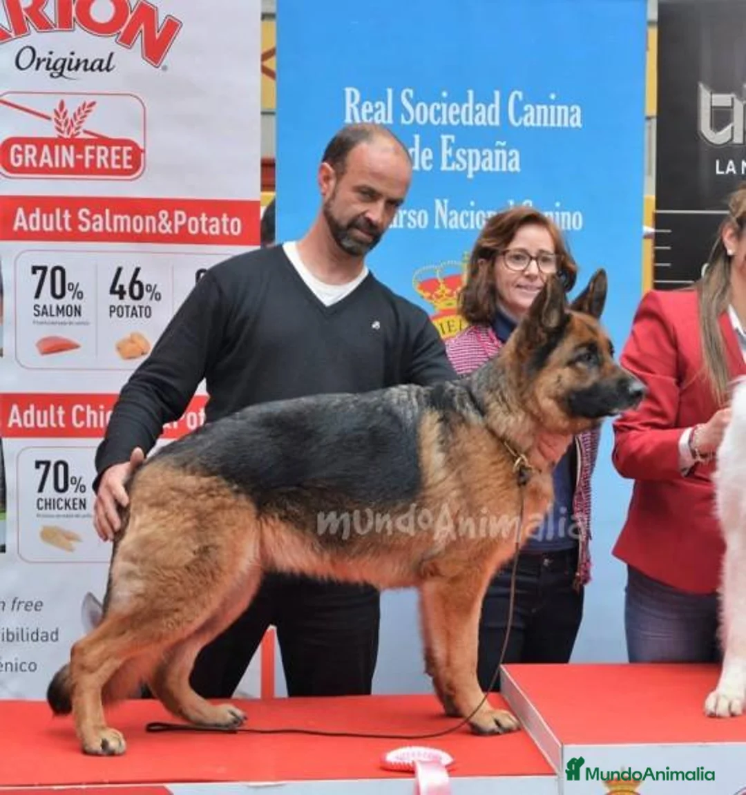 Imagen de galería {{count}}