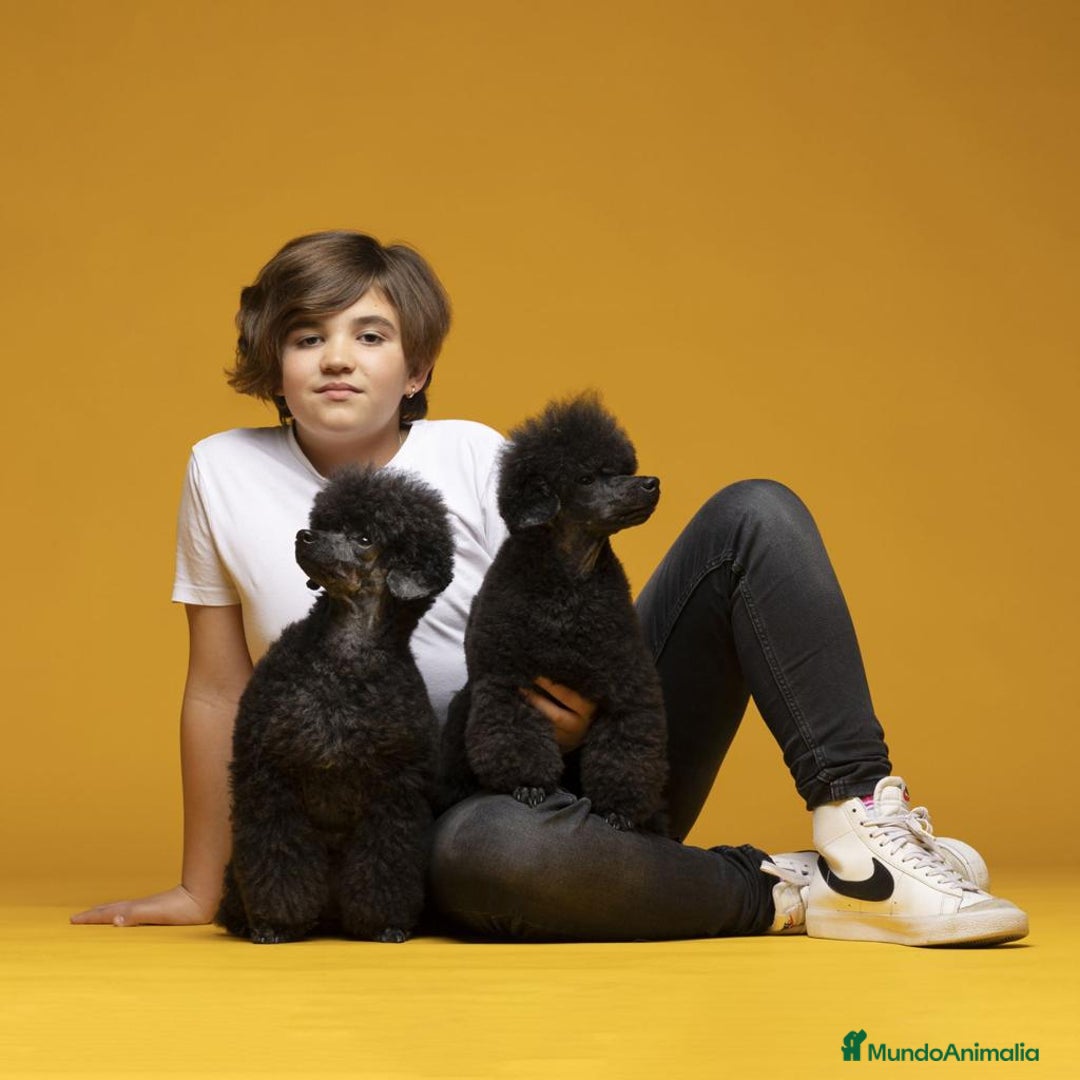 Imagen de galería {{count}}