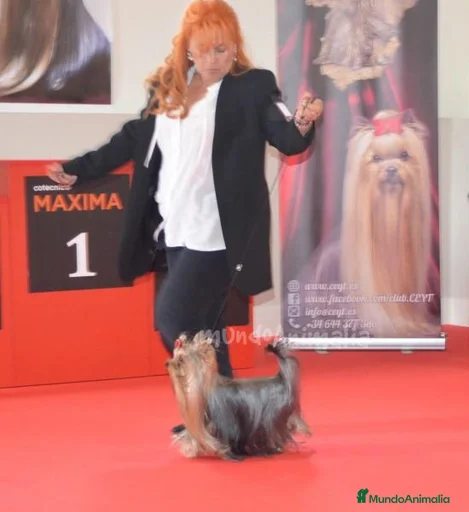 Imagen de galería {{count}}