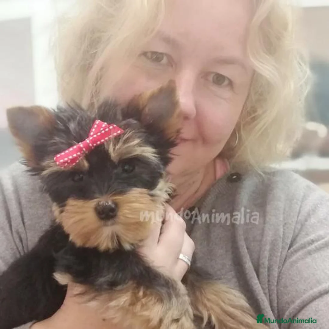 Imagen de galería {{count}}