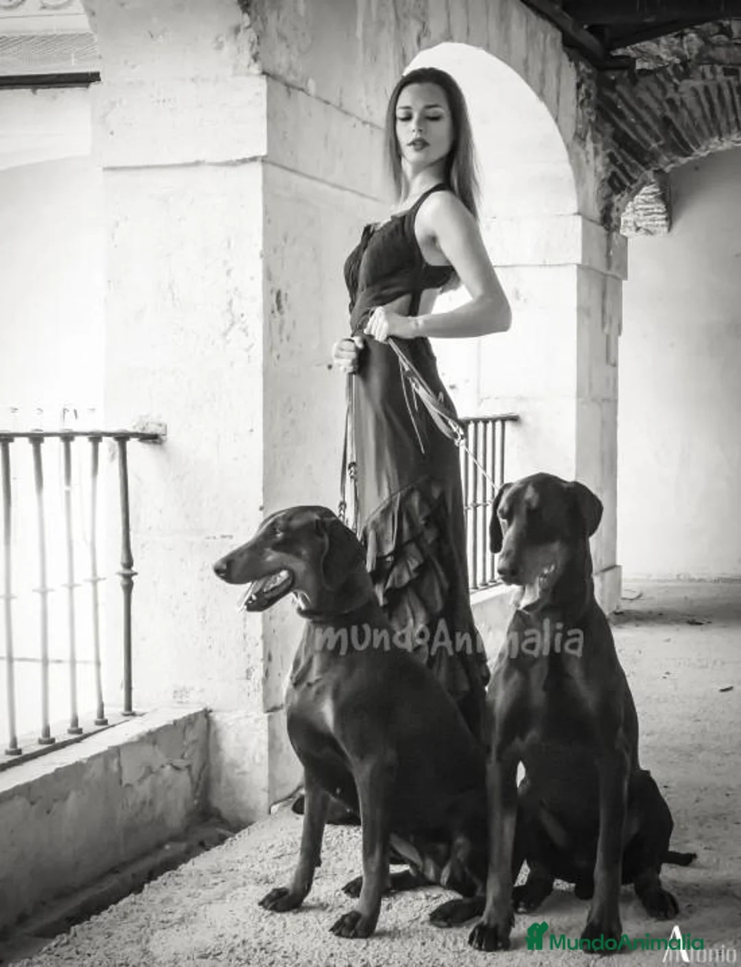 Imagen de galería {{count}}