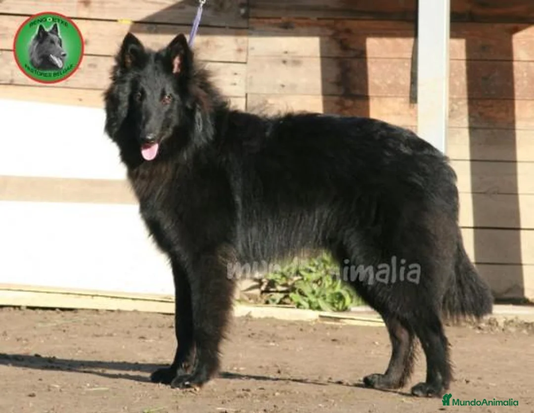 Imagen de galería {{count}}