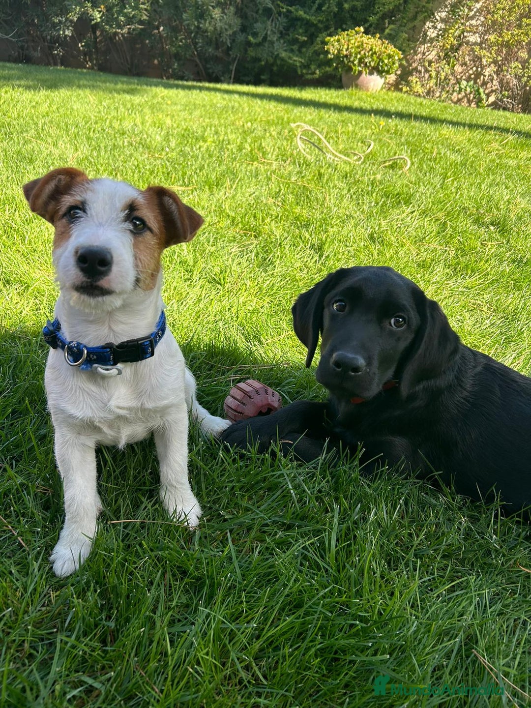 Imagen de galería {{count}}