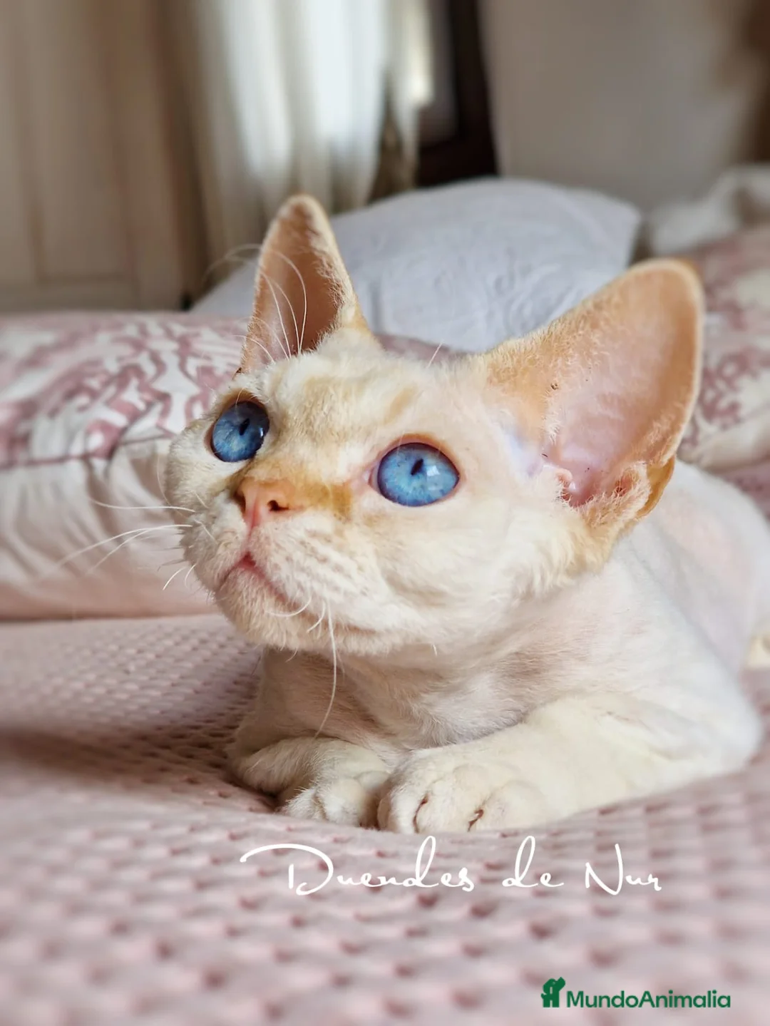 Imagen de galería {{count}}