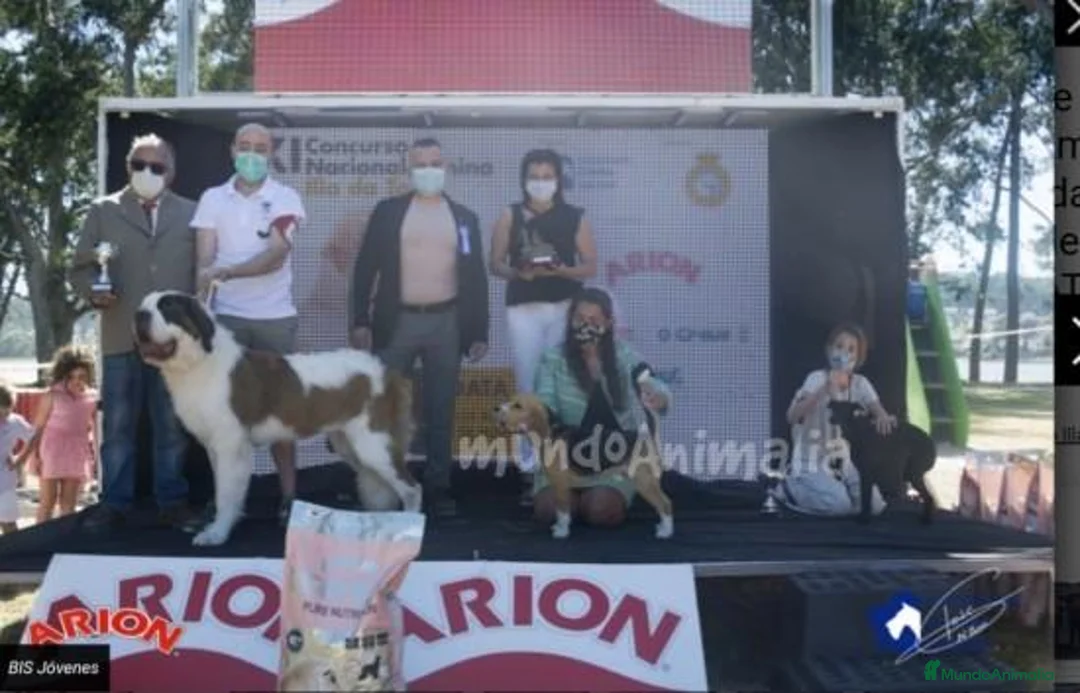 Imagen de galería {{count}}