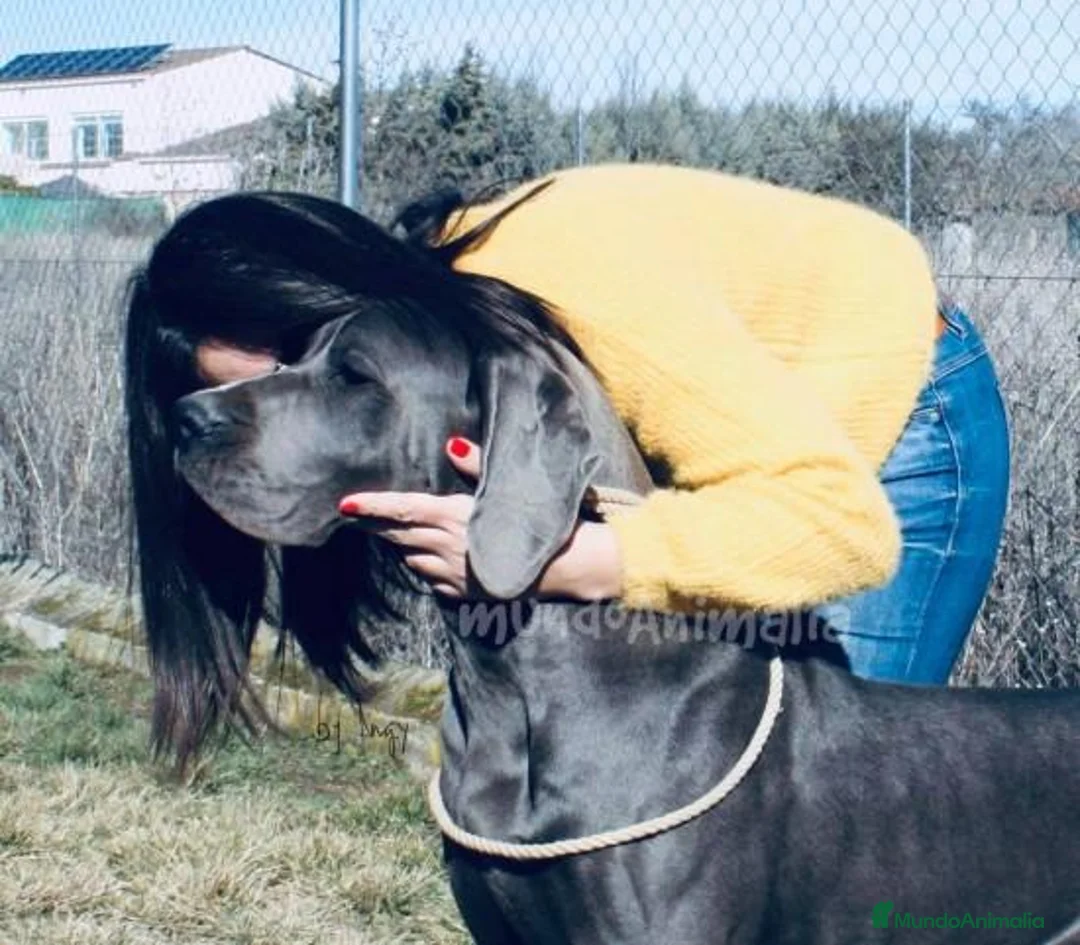 Imagen de galería {{count}}