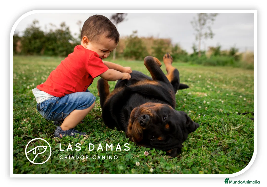 Imagen de galería {{count}}