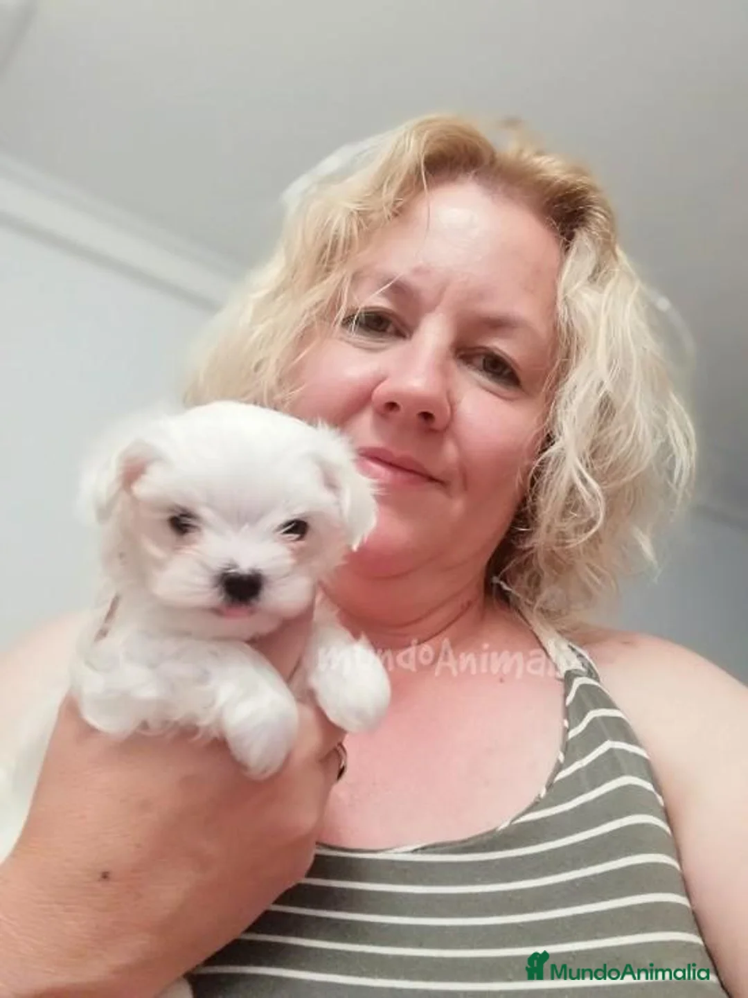 Imagen de galería {{count}}