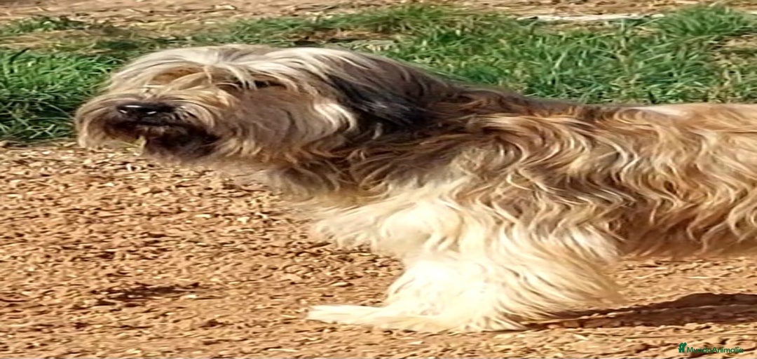 Imagen de galería {{count}}