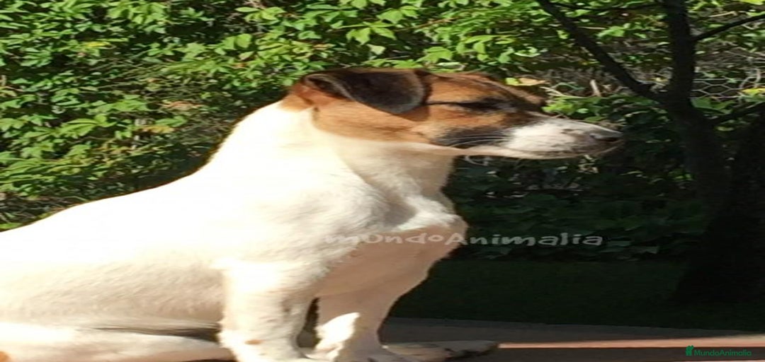 Imagen de galería {{count}}