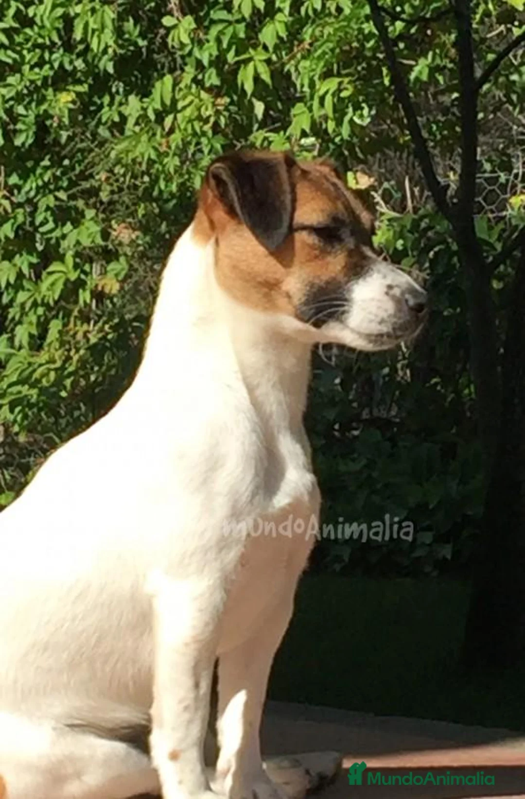 Imagen de galería {{count}}