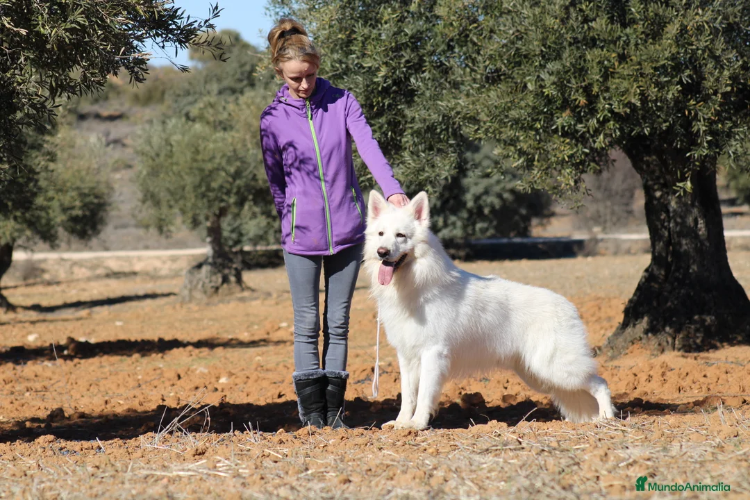 Imagen de galería {{count}}