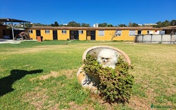 Pomerania perros en venta: Pomerania - Imagen 2