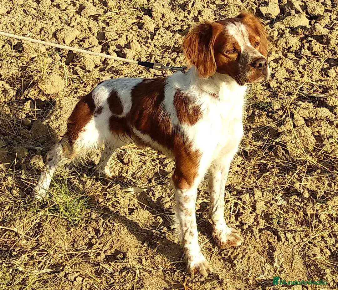 Imagen de galería {{count}}