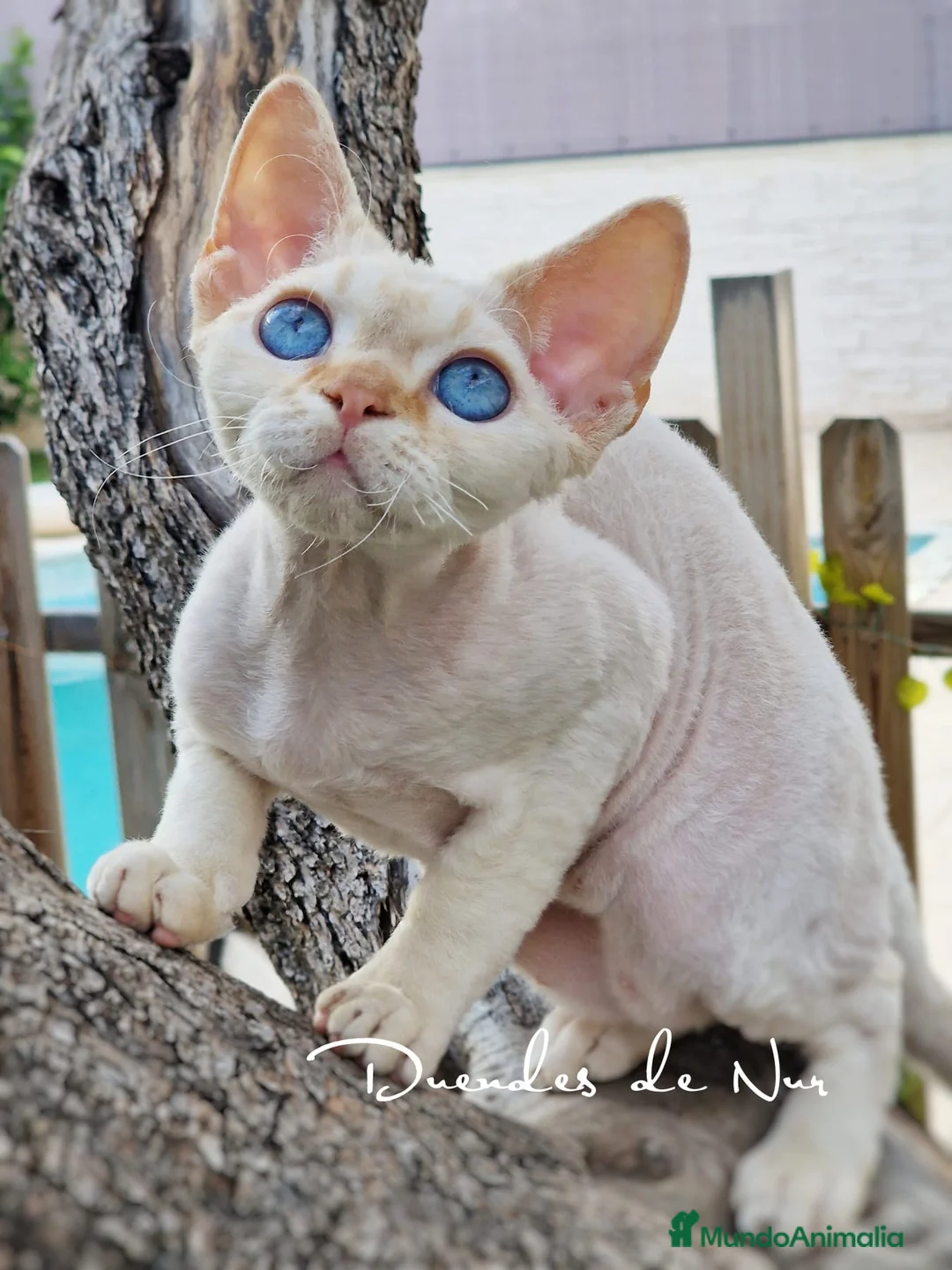 Imagen de galería {{count}}