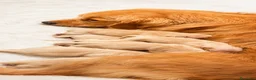 Golden Retriever perros en venta: GOLDEN RETRIEVER CALIDAD EXCLUSIVA - Anuncio 2