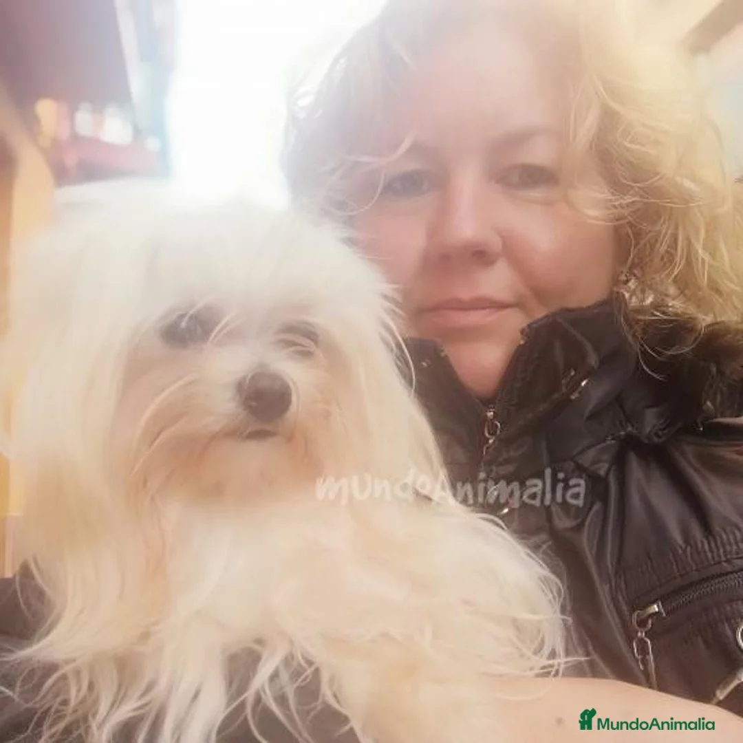 Imagen de galería {{count}}