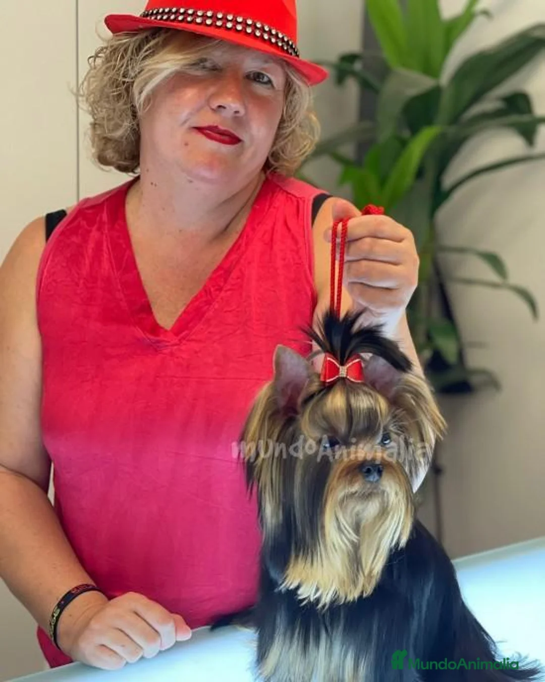 Imagen de galería {{count}}