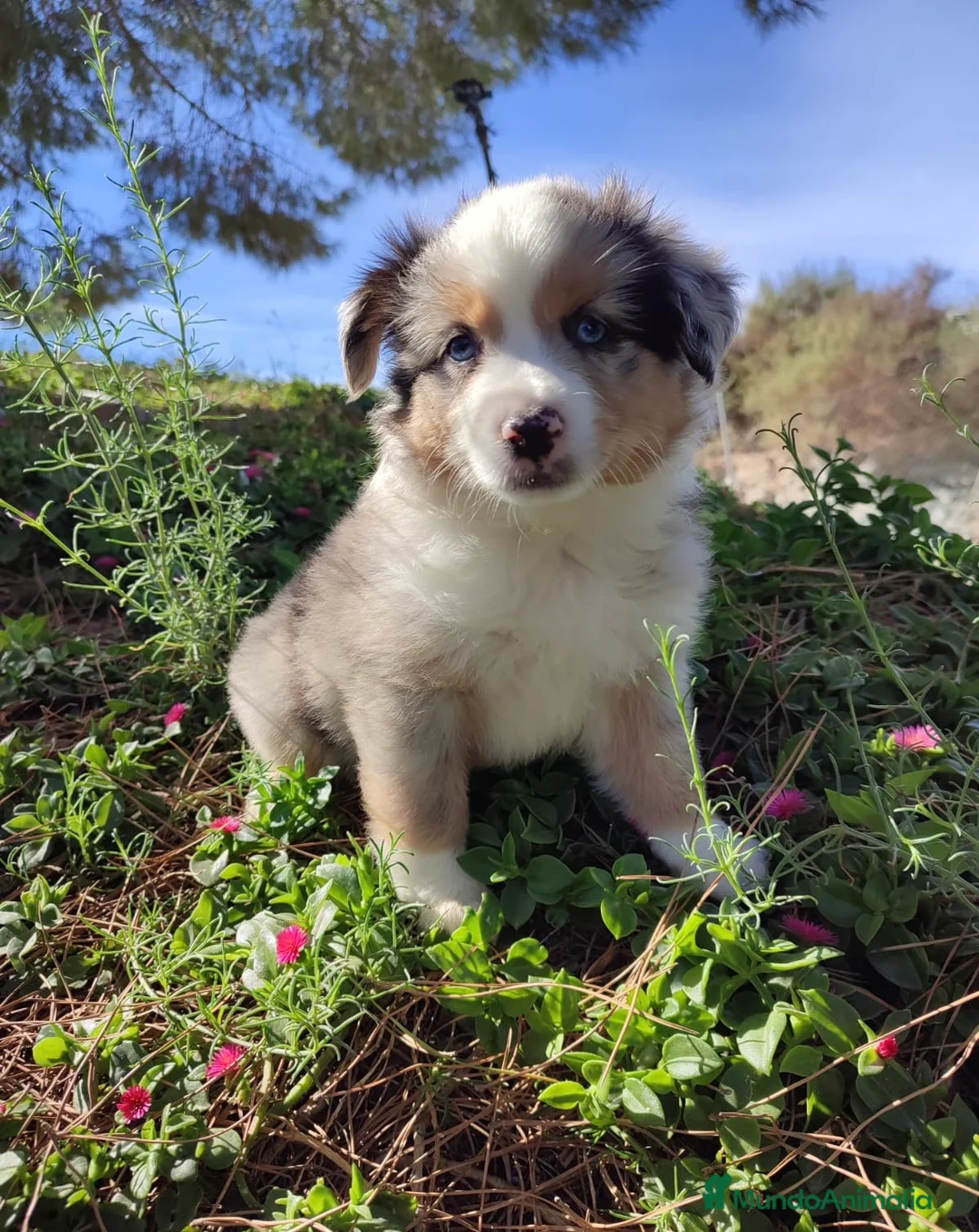 Imagen de galería {{count}}