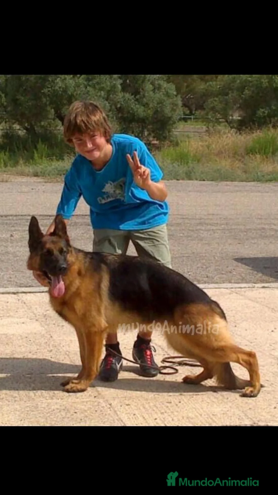 Imagen de galería {{count}}