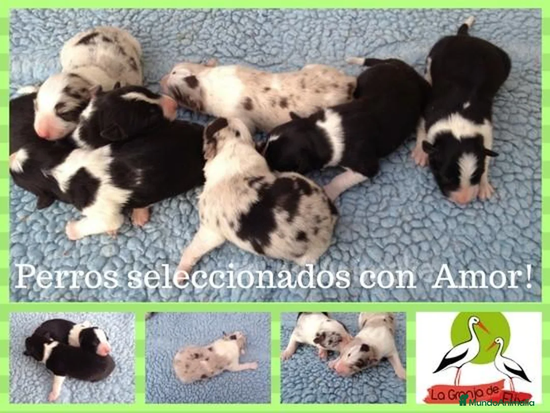 Imagen de galería {{count}}