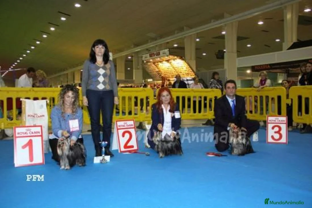 Imagen de galería {{count}}