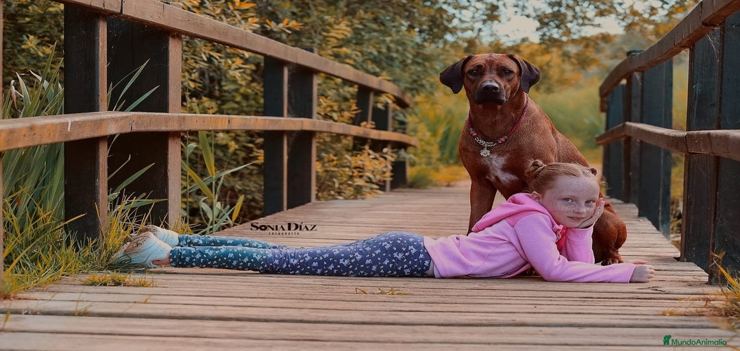 Imagen de galería {{count}}