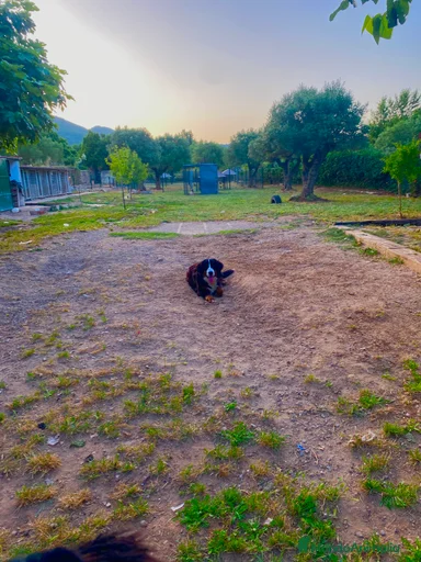 Imagen de galería {{count}}