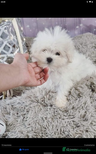 Imagen de galería {{count}}