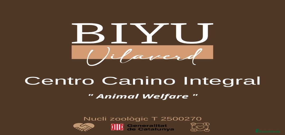 Imagen de galería {{count}}