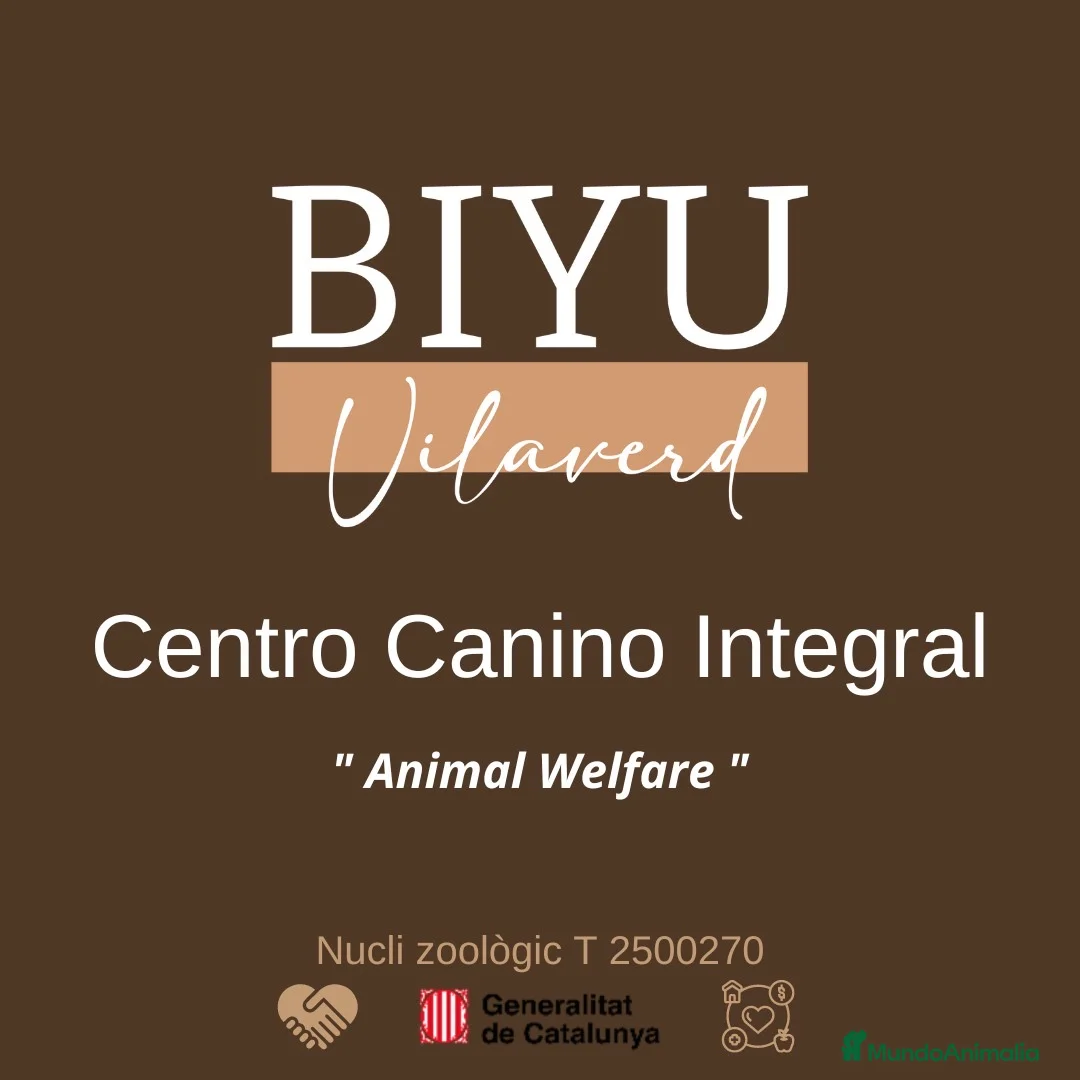 Imagen de galería {{count}}