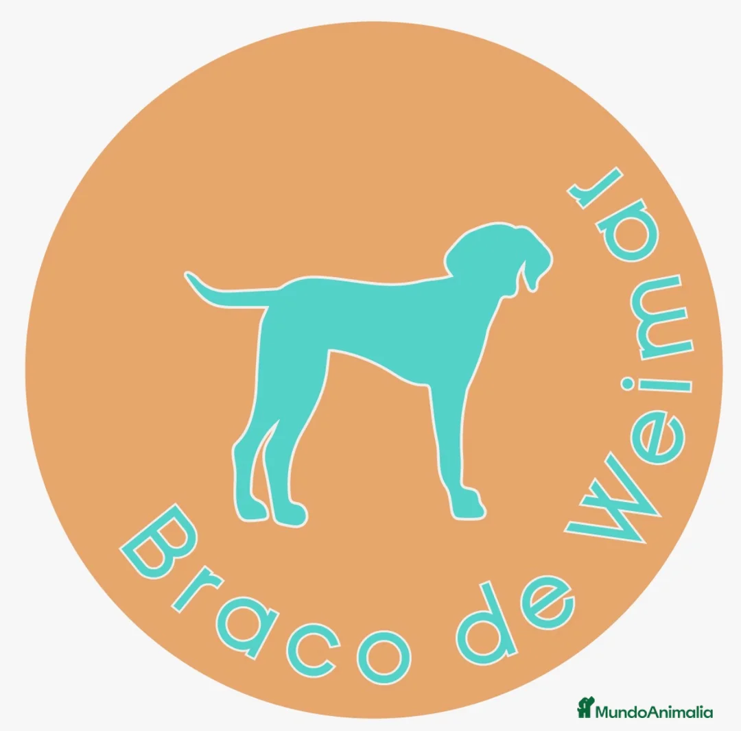 Imagen de galería {{count}}