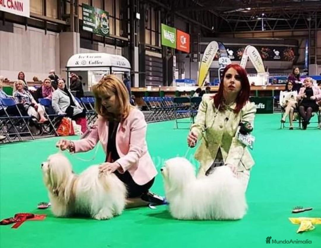 Imagen de galería {{count}}