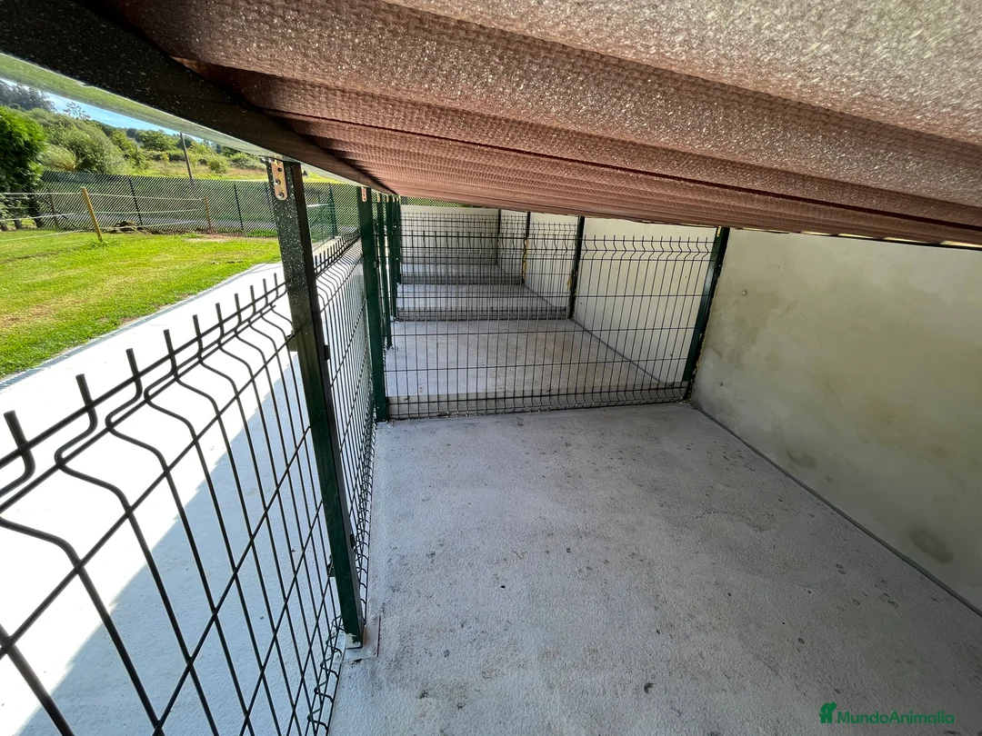 Imagen de galería {{count}}