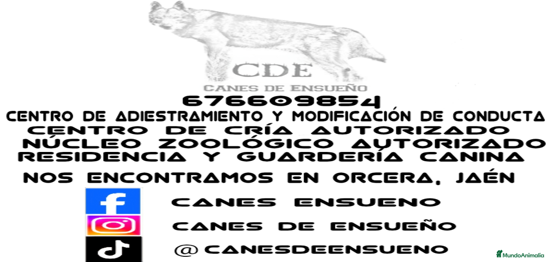 Imagen de galería {{count}}