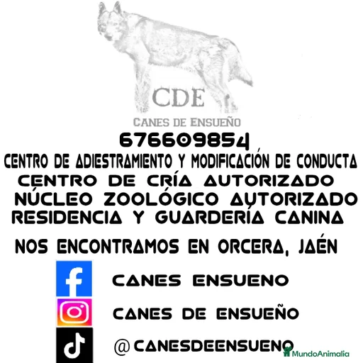 Imagen de galería {{count}}