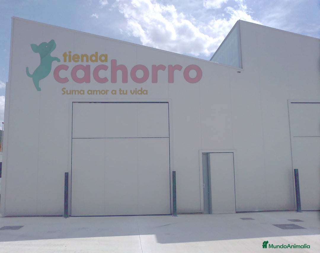 Imagen de galería {{count}}