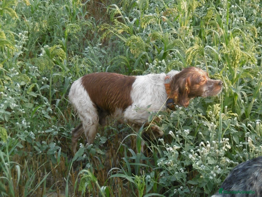 Imagen de galería {{count}}