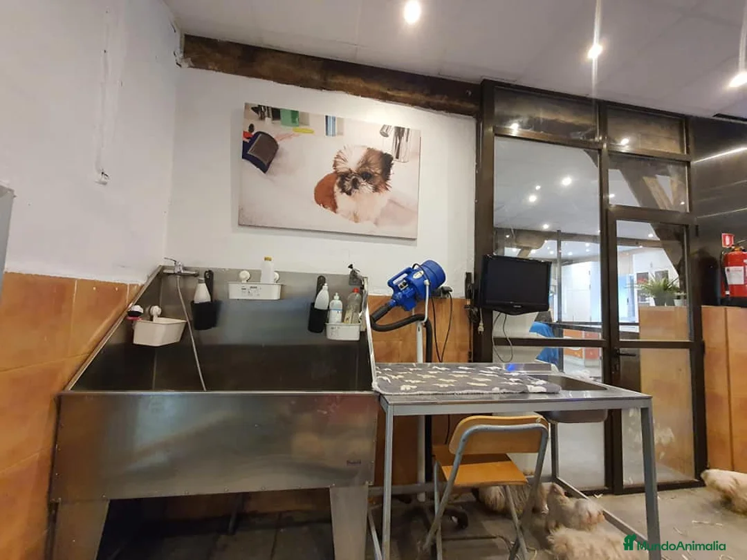 Imagen de galería {{count}}