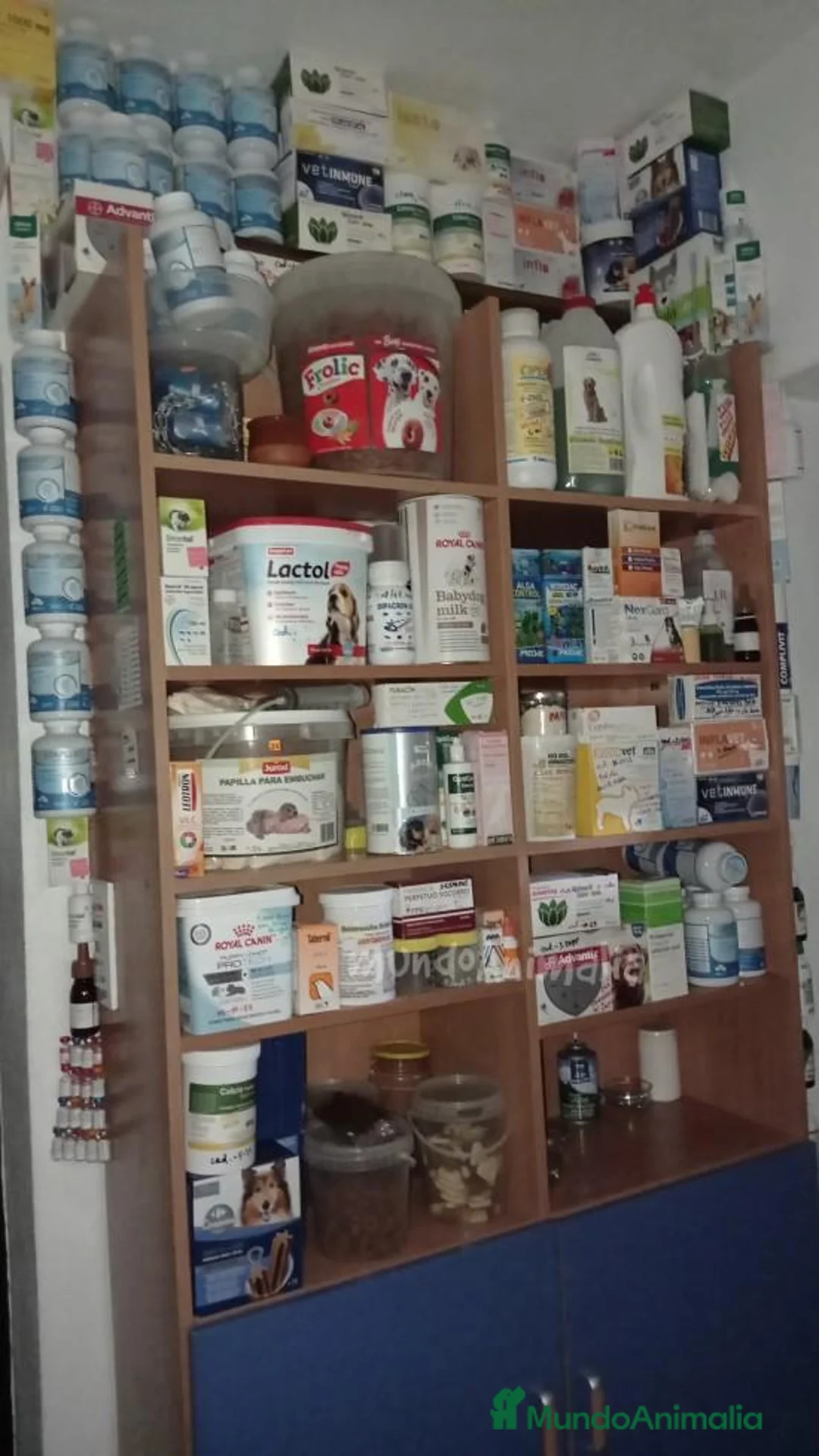 Imagen de galería {{count}}