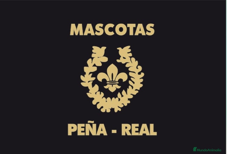 Imagen de galería {{count}}