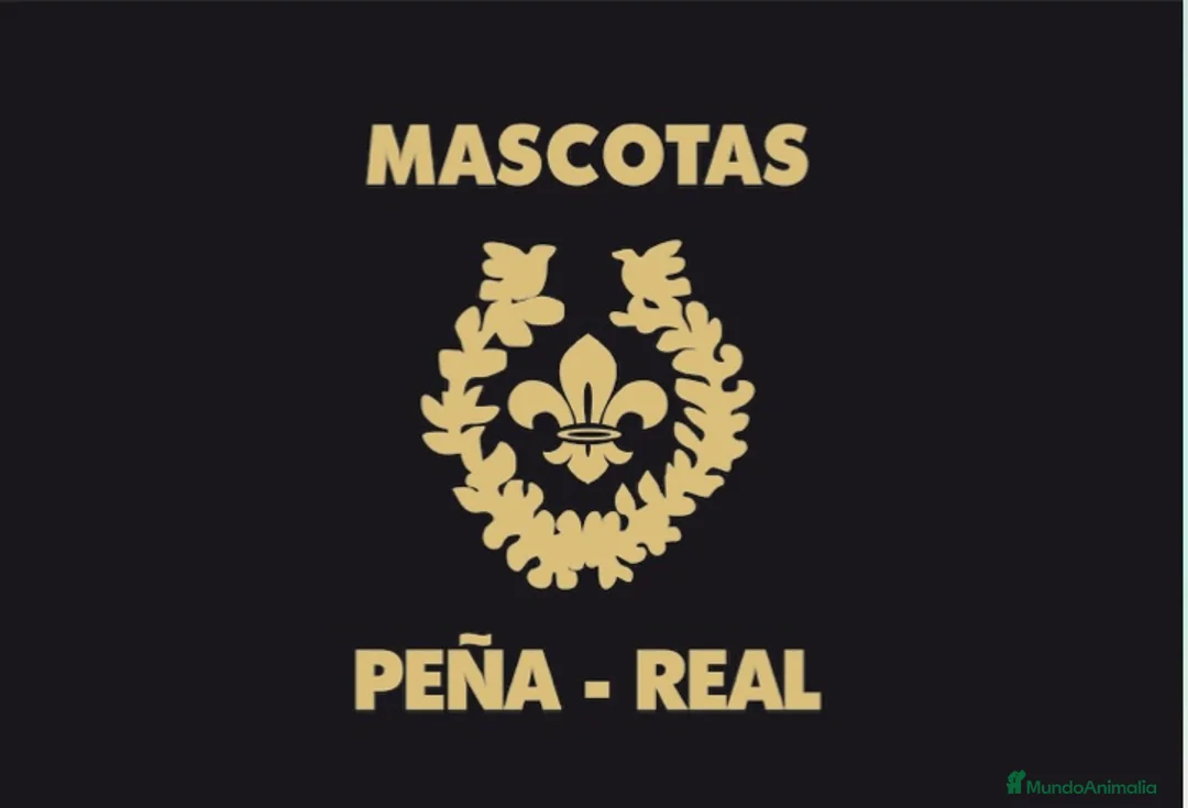 Imagen de galería {{count}}