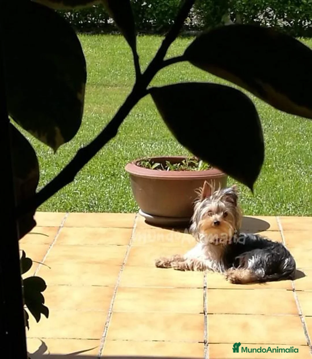 Imagen de galería {{count}}