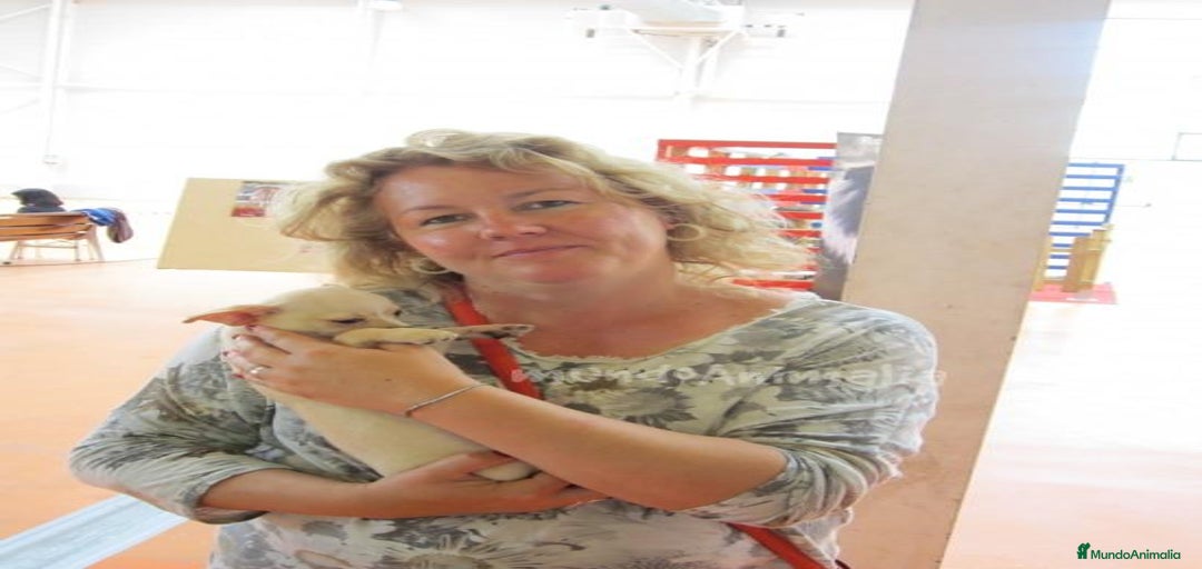 Imagen de galería {{count}}