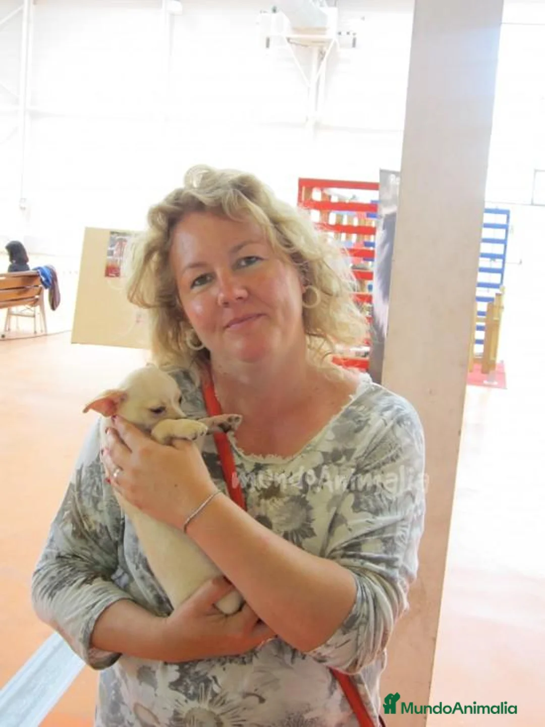 Imagen de galería {{count}}