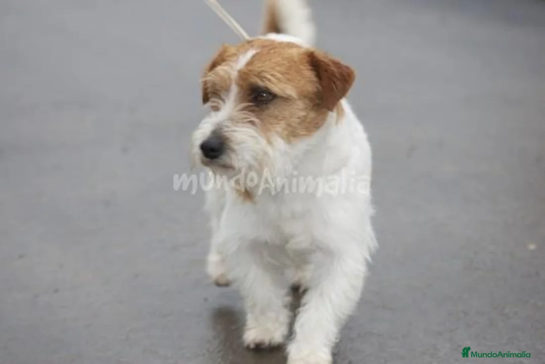 Imagen de galería {{count}}