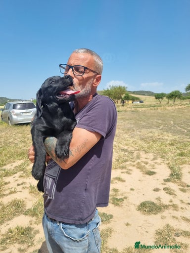 Imagen de galería {{count}}