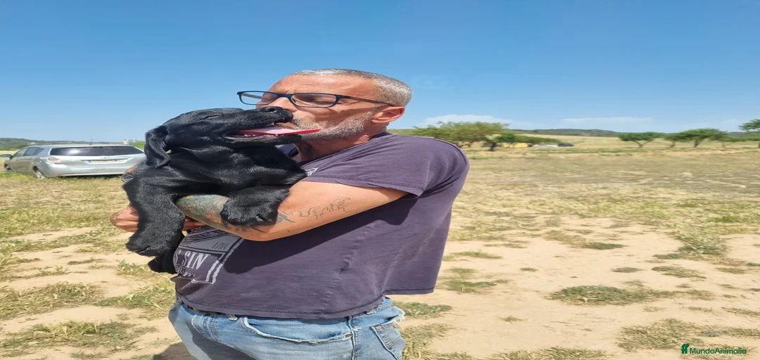 Imagen de galería {{count}}