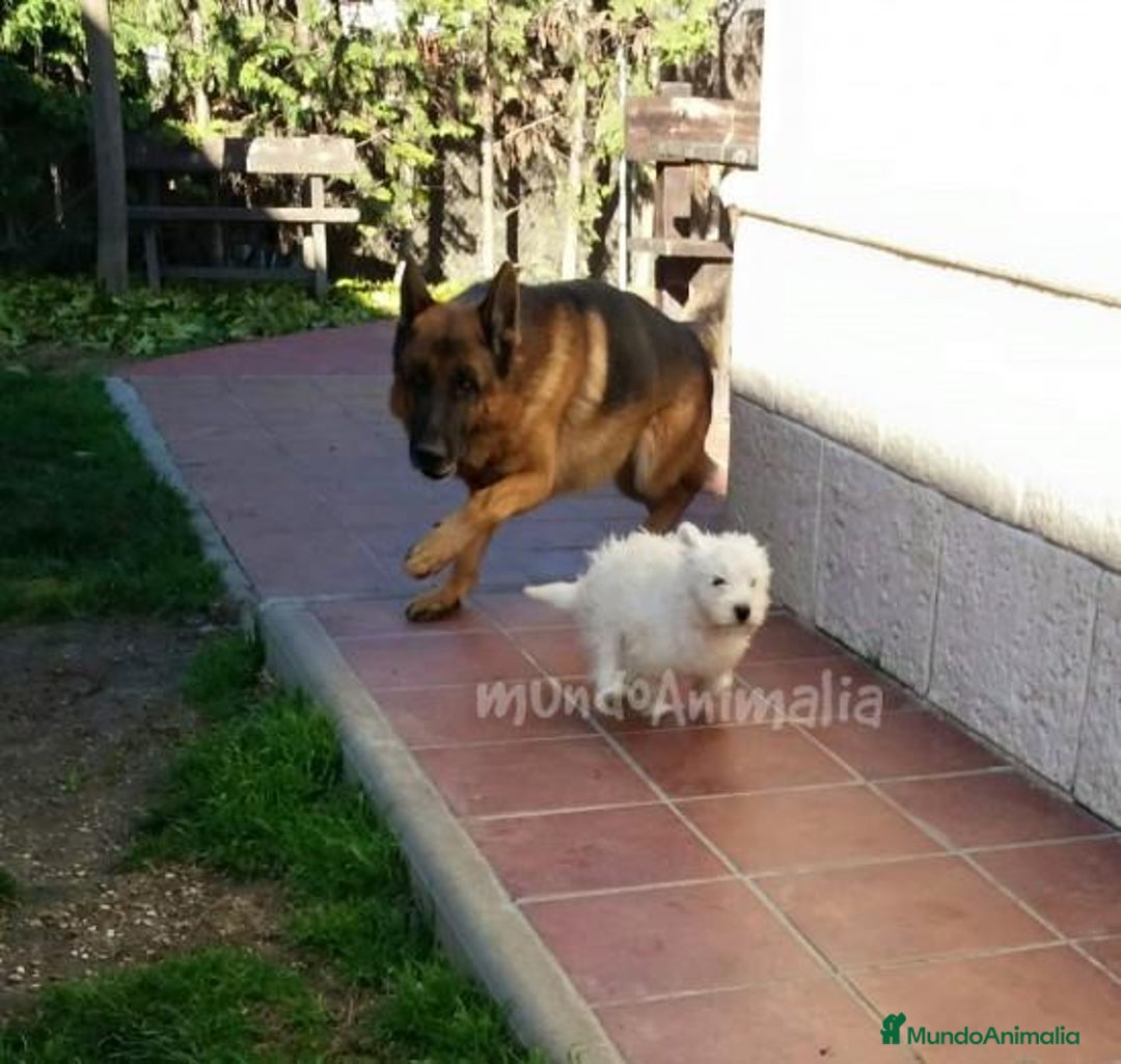 Imagen de galería {{count}}